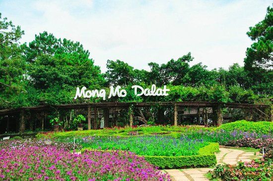 Đồi Mộng Mơ Đà Lạt